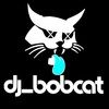 dj_bobcat